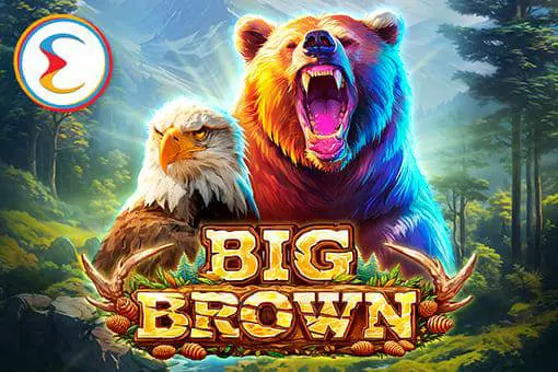 Big Brown - WinPesa - Zambia