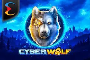 Cyber Wolf - WinPesa - Zambia
