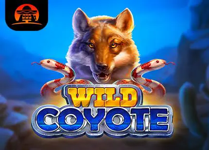 Wild Coyote - WinPesa - Zambia