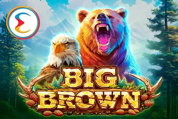 Big Brown - WinPesa - Zambia