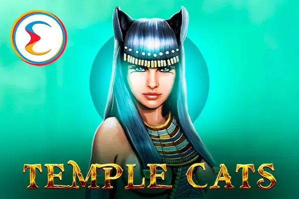Temple Cats - WinPesa - Zambia