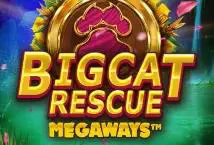 Big Cat Rescue Megaways - WinPesa - Zambia