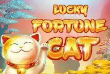 Lucky Fortune Cat - WinPesa - Zambia