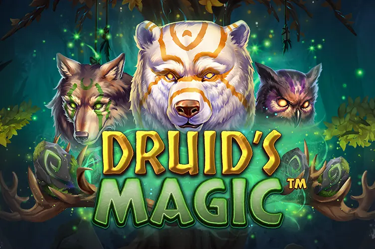 Druid's Magic - WinPesa - Zambia