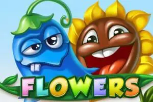 Flowers - WinPesa - Zambia
