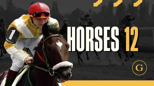 Horses 12 Flat Scheduled - WinPesa - Zambia