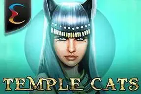 Temple Cats - WinPesa - Zambia