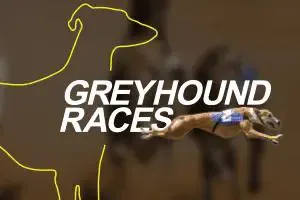 vDogs (Grayhound races) - WinPesa - Zambia