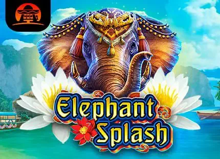 Elephant Splash - WinPesa - Zambia