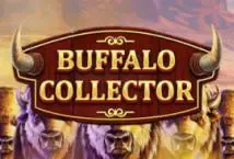 Buffalo Collector - WinPesa - Zambia