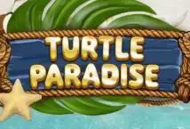 Turtle Paradise - WinPesa - Zambia