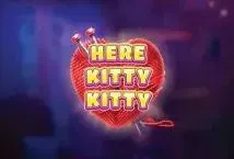 Here Kitty Kitty - WinPesa - Zambia