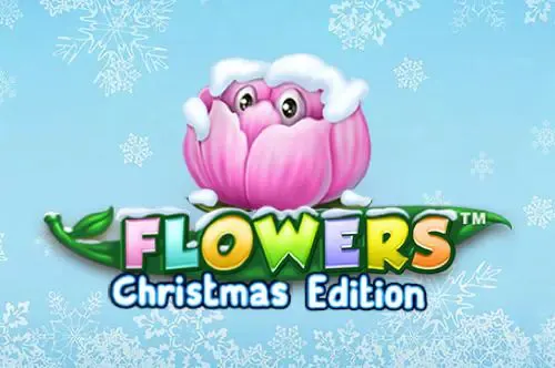 Flowers Christmas Edition - WinPesa - Zambia