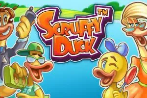 Scruffy Duck - WinPesa - Zambia